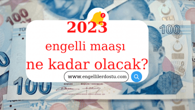 2023 engelli maaşı ne kadar olacak