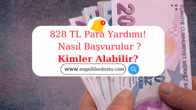 828 TL Para Yardımı Başvurusu! 828 TL Para Yardımı Alma Şartları Nelerdir? 828 TL Para Yardımı Başvuru Formu! 828 TL Yardım Kimler Alabilir?