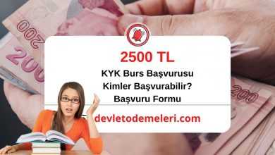 KYK Bursu Başvurusu. KYK Bursu Ne Kadar? KYK Burs Kimlere Veriliyor? Başvuru Formu