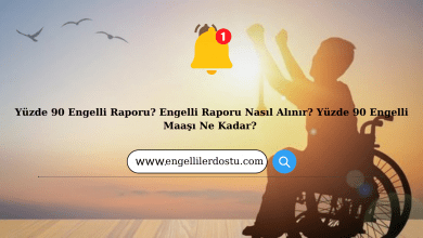Yüzde 90 Engelli Raporu? Engelli Raporu Nasıl Alınır? Yüzde 90 Engelli Maaşı Ne Kadar? 