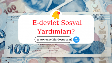 E-devlet Sosyal Yardımları?