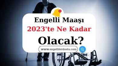 Engelli Maaşı Ne Kadar Oldu 2023