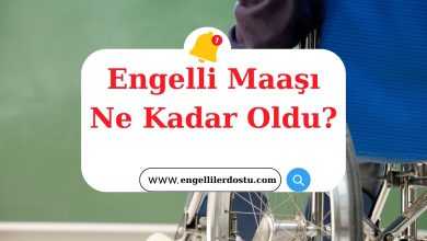 Engelli Maaşı Ne Kadar Oldu?
