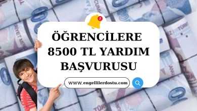 Öğrencilere 8500 TL Yardım Başvurusu Nasıl Yapılır?