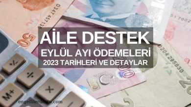 Aile Destek Eylül Ayı Ödemeleri 2023: Tarihleri ve Detaylar