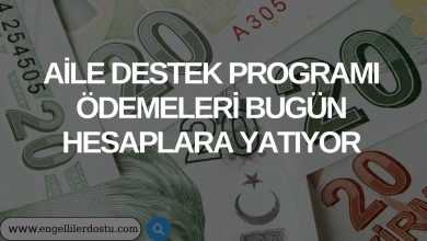 Bakanlık Açıkladı: Aile Destek Programı Ödemeleri Bugün Hesaplara Yatıyor