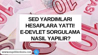 SED Yardımları Hesaplara Yattı! E-devlet Sorgulama Nasıl Yapılır?