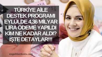 Türkiye Aile Destek Programı: Eylülde 4,36 Milyar Lira Ödeme Yapıldı