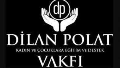 www dilanpolat org yardım başvurusu durumu
