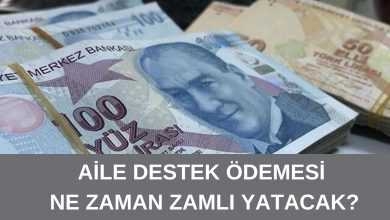 Aile Destek Ödemesi Ne Zaman Zamlı Yatacak