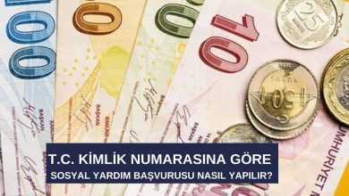 T.C. Kimlik Numarasına Göre Sosyal Yardım Başvurusu Nasıl Yapılır?